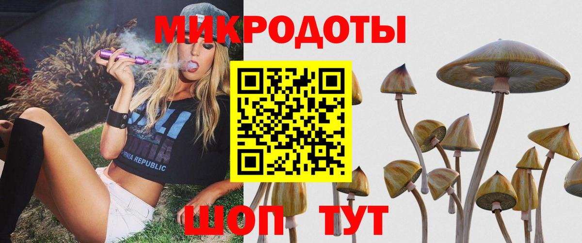 Псилоцибиновые грибы Psilocybe  Вход с VPN  Орск 